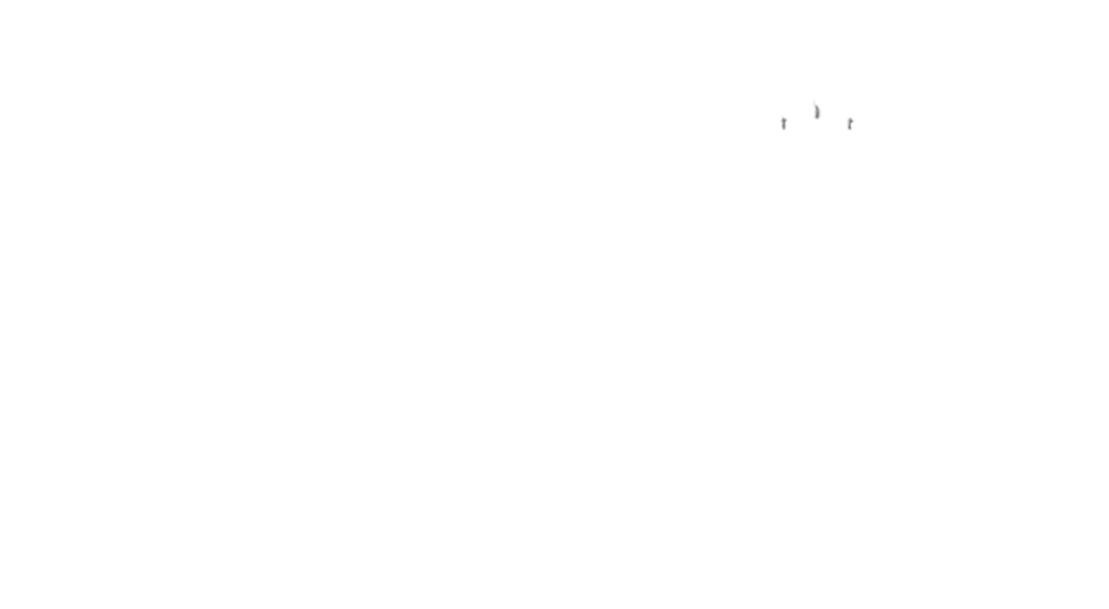 Sponsor istituzionali